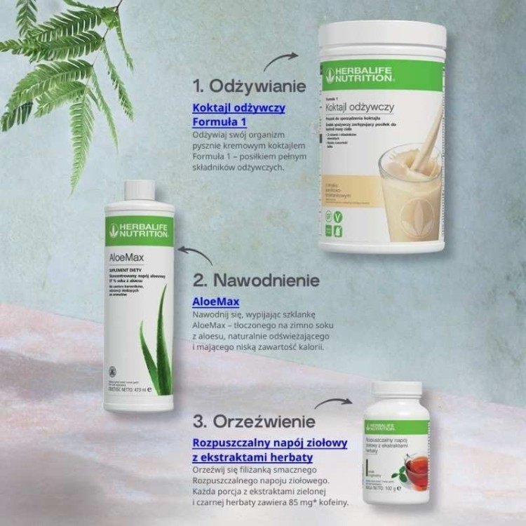 Idealny posiłek Herbalife